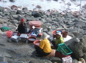 ZX0NwJoYrtaSQ8S1463472775_1463472813