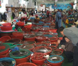 8yQ6z60dPI7uW9G1470097774_1470097799