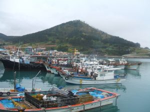 青山島の港にフェリーで到着