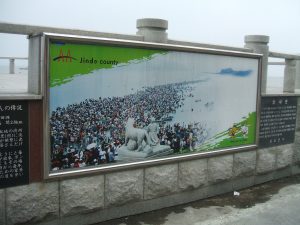 珍島の海割れを伝える案内板