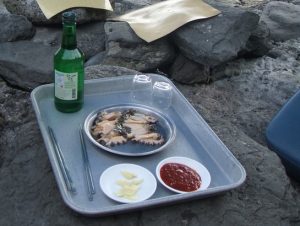 LOeH8l4J4RJRqO51470041202_1470041238