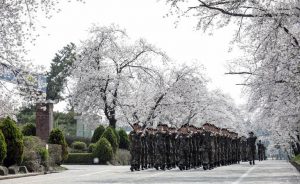 写真＝韓国陸軍公式サイトより
