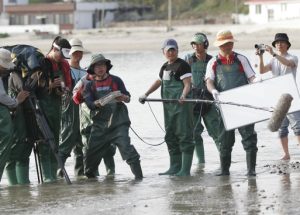 AkGOD3FMPseoRCl1499672467_1499672734