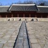 中宗（チュンジョン）は不本意な王だった／朝鮮王朝人物実録２