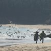 冬ソナ２０周年企画／ペ・ヨンジュンの２００２年にタイムスリップ４「海辺」
