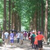 韓国女性の生き方〔第２回〕