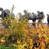 韓流スターの兵役は入隊までにどんな経緯をたどるのか